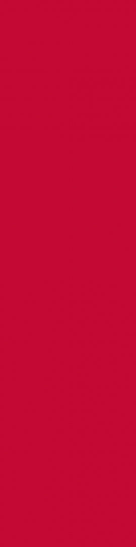2101F00 Red 2101F00 Red