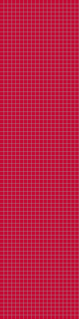 2101M0303 Red 2101M0303 Red