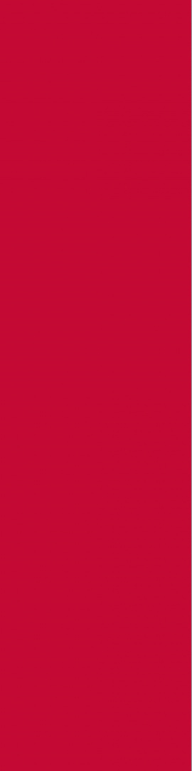 2101M10 Red