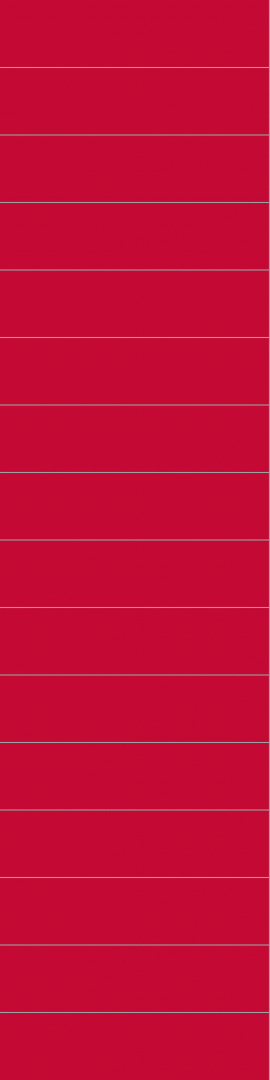 2101M6015 Red 2101M6015 Red