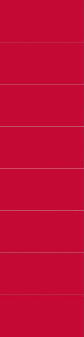 2101M6030 Red