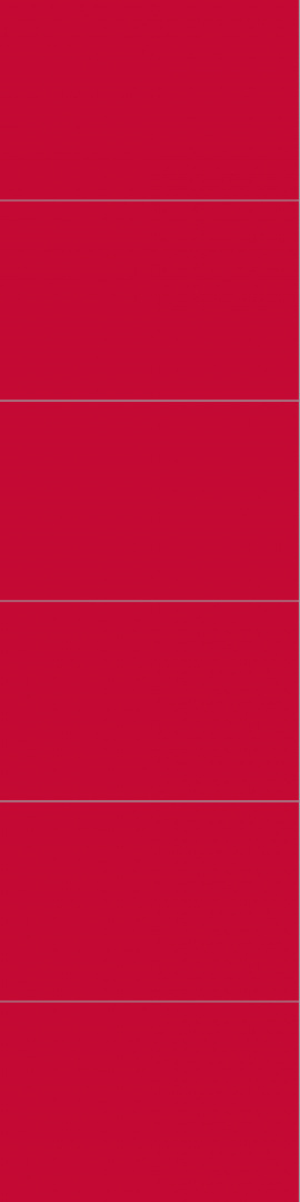 2101M6040 Red 2101M6040 Red