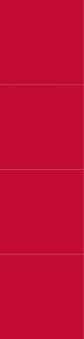 2101M6060 Red