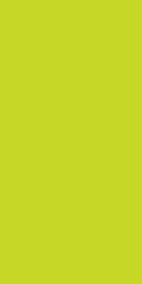 2446F00 Lime 2446F00 Lime