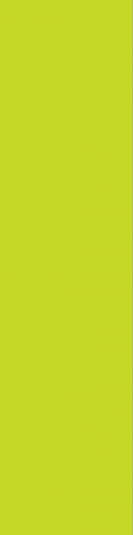 2446M10 Lime 2446M10 Lime