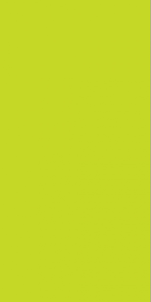2446M10 Lime 2446M10 Lime