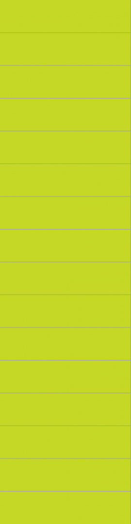 2446M6015 Lime 2446M6015 Lime