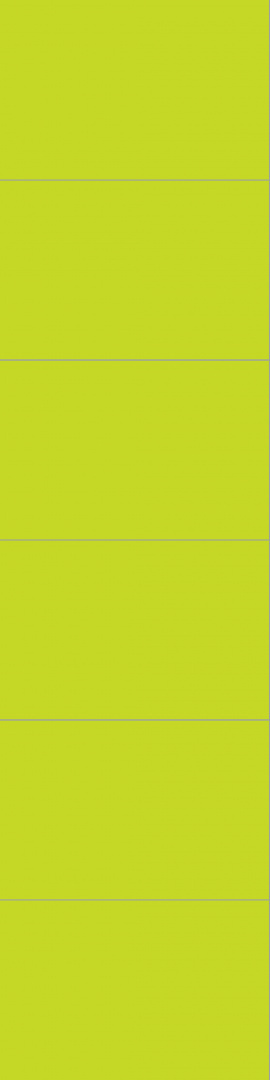 2446M6040 Lime 2446M6040 Lime