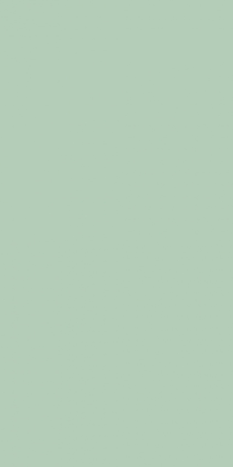 4085F00 Light Mint 4085F00 Light Mint