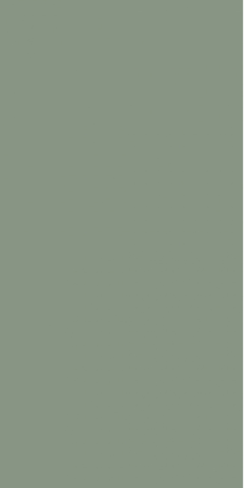 5206M10 Olivegreen 5206M10 Olivegreen