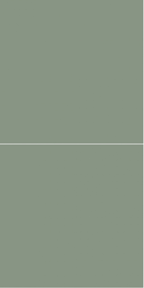 5206M6060 Olivegreen