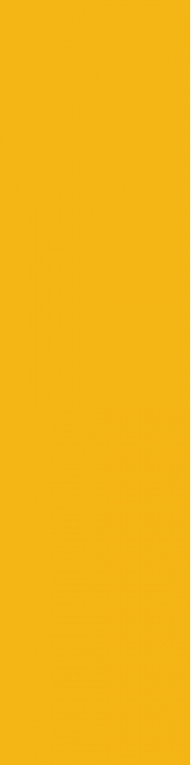 2167M10 Deep Yellow