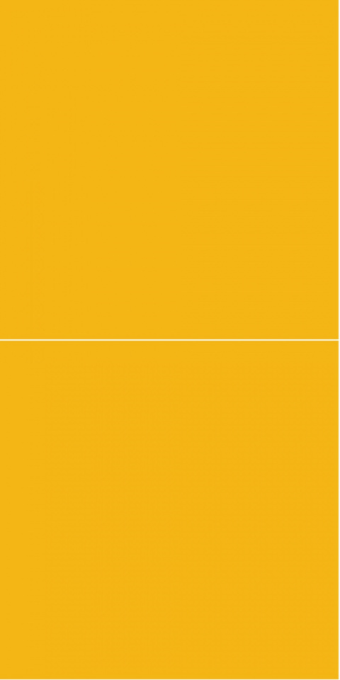 2167M6060 Deep Yellow