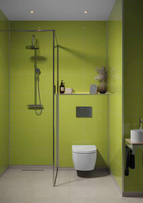 2446M6030 Lime 2446M6030 Lime