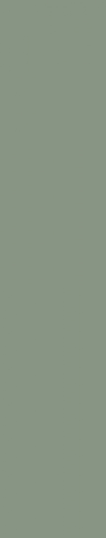 5206L00 Olivegreen 5206L00 Olivegreen