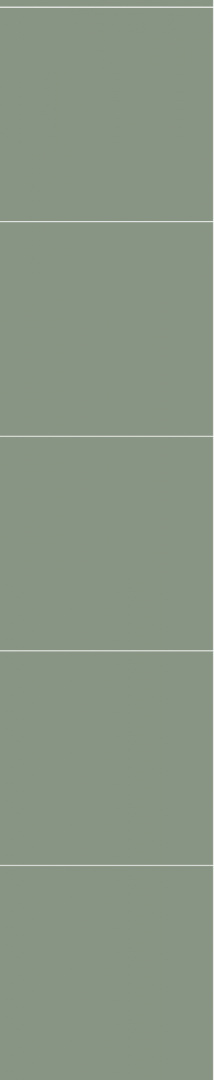 5206LM6060 Olivegreen 5206LM6060 Olivegreen