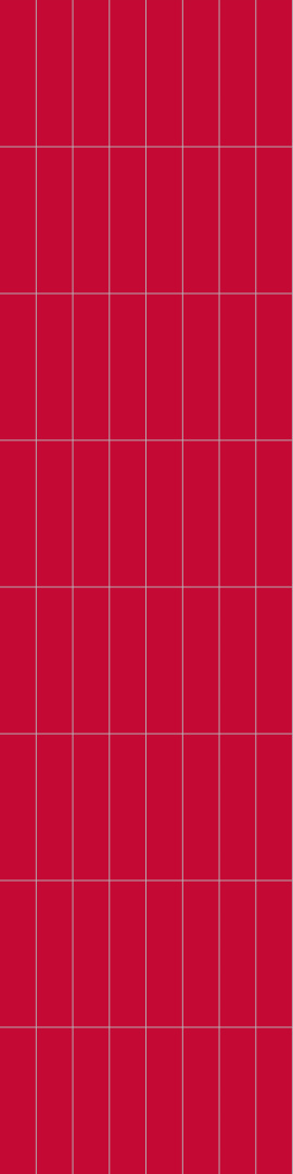 2101M0830 Red 2101M0830 Red