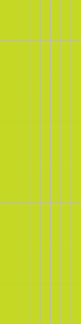 2446M0830 Lime 2446M0830 Lime