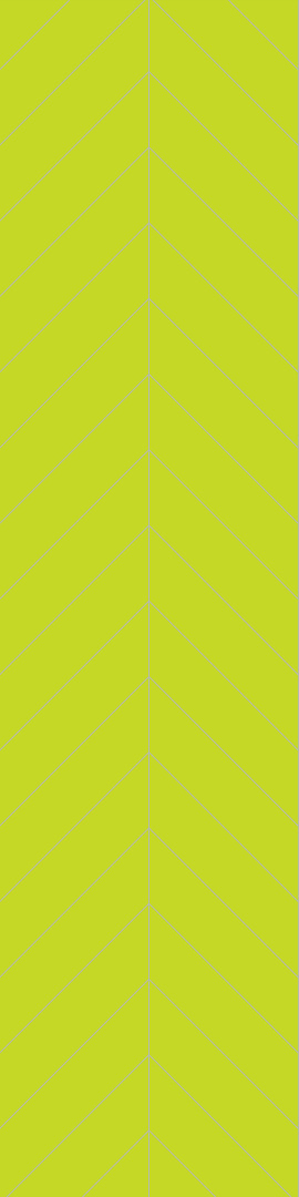 2446M78 Lime 2446M78 Lime