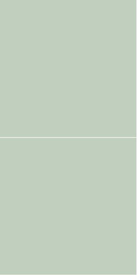 3085M6060 Light Green