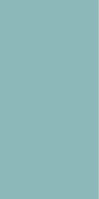 3212M10 Aqua Mint