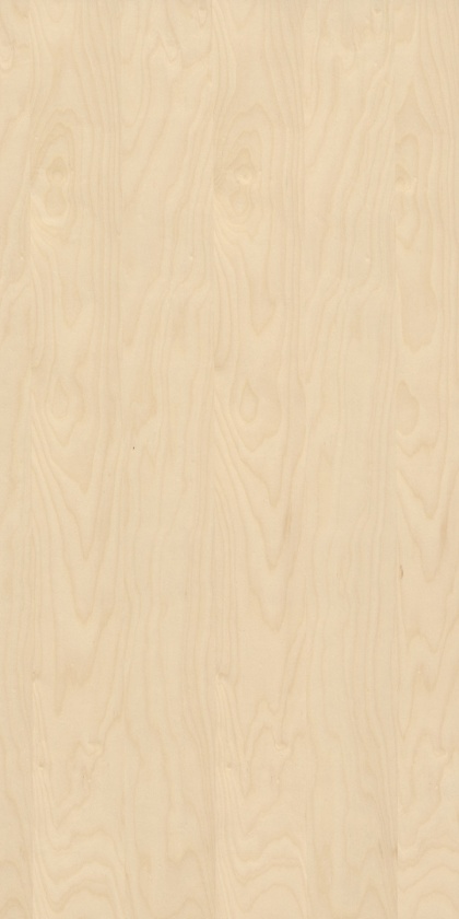 Panel fornirowany - Brzoza 2400 mm