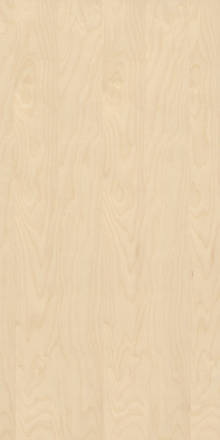 Panel fornirowany - Brzoza 2720 mm