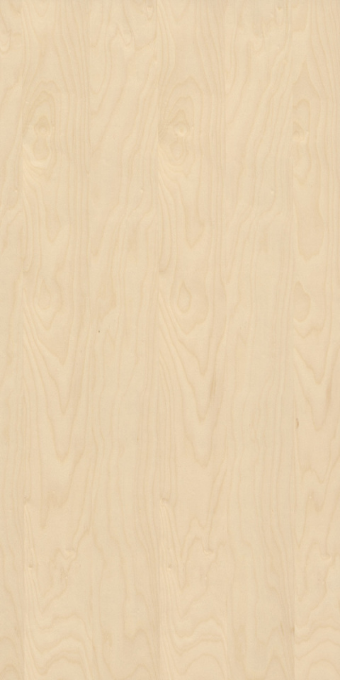 Panel fornirowany - Brzoza 3020 mm