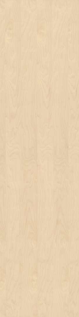 Panel fornirowany - Brzoza 3020 mm