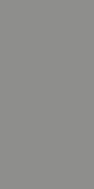 Panel ścienny Forestia Extreme EliteX 2600mm Grey Slate