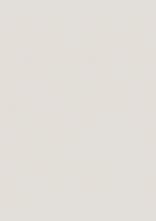 Panel ścienny Forestia OneStep Premium 2500mm Light Grey