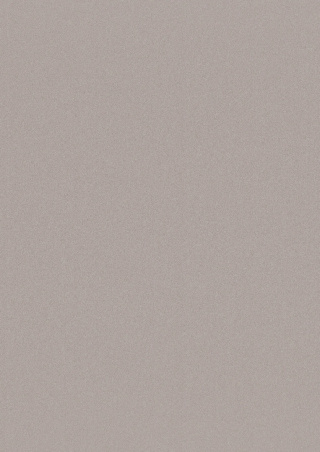 Panel ścienny Forestia OneStep Premium 2500mm Warm Grey