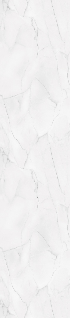2487T00 Bianco Marble