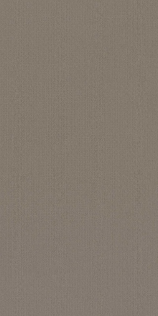 Panel ścienny Forestia OneStep 3040mm 892 Raster Szarobrązowy