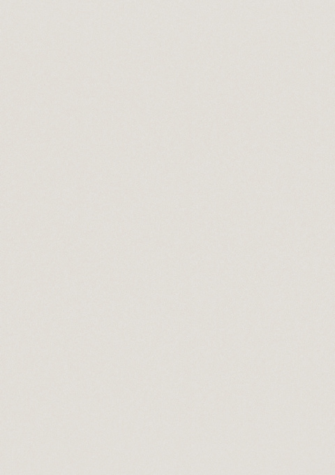 Panel ścienny Forestia OneStep Premium Light Grey 2300mm - 4200mm