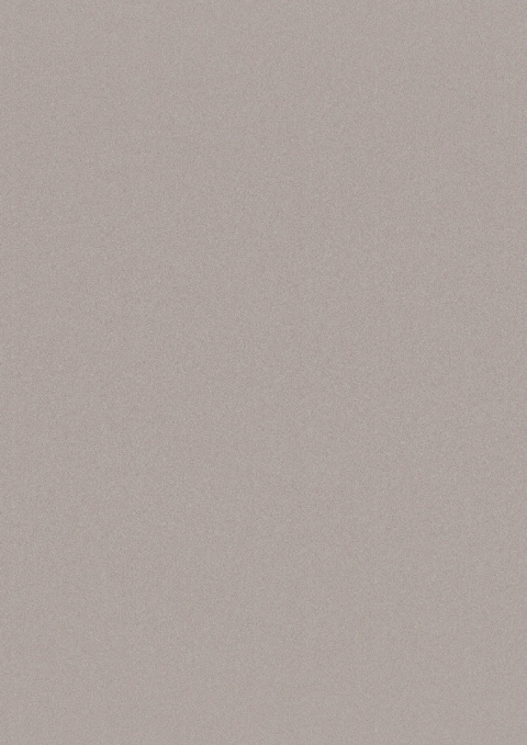 Panel ścienny Forestia OneStep Premium Warm Grey 2300mm - 4200mm